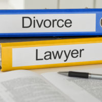 Books that read divorce lawyer