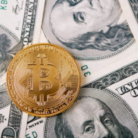 cryptocurrency is one of many digital assets cryptocurrency is one of many digital assets
